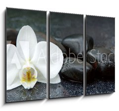Obraz 3D tdln - 105 x 70 cm F_BB113515481 - White orchid and black stones close up.