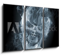 Obraz 3D tdln - 105 x 70 cm F_BB11412559 - Skull - smoke