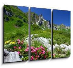 Obraz 3D tdln - 105 x 70 cm F_BB11754961 - spring in the alps