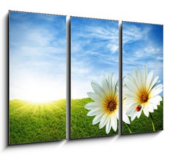 Obraz 3D tdln - 105 x 70 cm F_BB11940225 - Spring