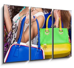 Obraz 3D tdln - 105 x 70 cm F_BB119714777 - Leather handbags isolated - Koen kabelky izolovan
