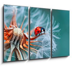 Obraz 3D tdln - 105 x 70 cm F_BB121417091 - freedom
