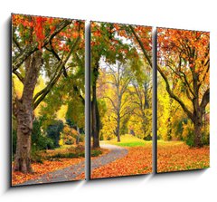 Obraz   Park im Herbst in freundlich warmen Farben, 105 x 70 cm