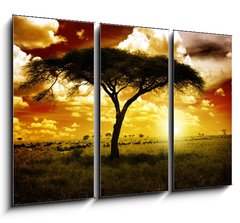 Obraz   Africa Sunset, 105 x 70 cm