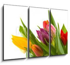 Obraz 3D tdln - 105 x 70 cm F_BB12262368 - colored flowers