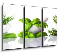 Obraz 3D tdln - 105 x 70 cm F_BB122892380 - Pestle and Mortar with Green Herbs on White Background