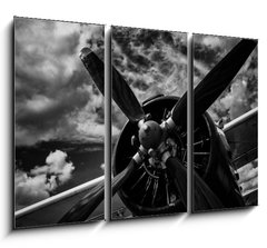 Obraz 3D tdln - 105 x 70 cm F_BB123654629 - Close up of old airplane in black and white - Zblzka starho letadla v ern a bl