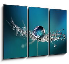 Obraz 3D tdln - 105 x 70 cm F_BB124005669 - Beautiful dew drops on a dandelion seed macro. Beautiful soft light blue and violet background. Water drops on a parachutes dandelion on a beautiful blue. Soft dreamy tender artistic image form.