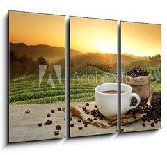 Obraz   Hot Coffee cup with Coffee beans on the wooden table and the pla, 105 x 70 cm