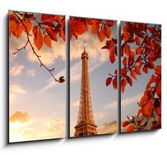 Obraz 3D tdln - 105 x 70 cm F_BB126000625 - Eiffel Tower with autumn leaves in Paris, France