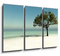 Obraz   tree on the beach, 105 x 70 cm