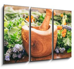 Obraz 3D tdln - 105 x 70 cm F_BB128185706 - Variety of herbs and mortar on wooden background, banner