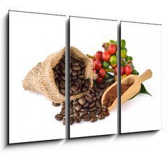 Obraz   coffee beans and red ripe coffee on white background., 105 x 70 cm