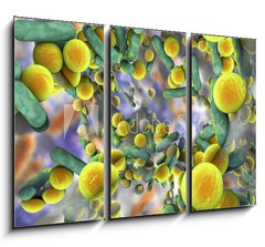 Obraz   Biofilm of antibiotic resistant bacteria. Rod, 105 x 70 cm