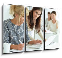 Obraz 3D tdln - 105 x 70 cm F_BB132241834 - women working together in office - eny pracujc spolen v kanceli