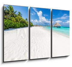 Obraz 3D tdln - 105 x 70 cm F_BB132600844 - Wide sandy beach on a tropical island in Maldives. Palms and wat
