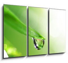 Obraz 3D tdln - 105 x 70 cm F_BB13364625 - shine water drop