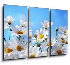 Obraz 3D tdln - 105 x 70 cm F_BB13584171 - Flowers