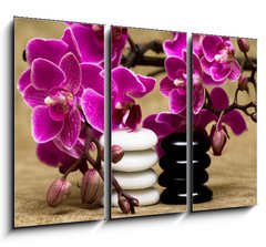 Obraz   Spa essentials (pyramid of stones with purple orchids), 105 x 70 cm