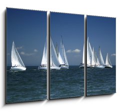 Obraz   start of a sailing regatta, 105 x 70 cm