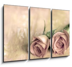 Obraz 3D tdln - 105 x 70 cm F_BB13808846 - zwei rosen