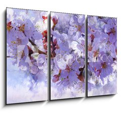 Obraz 3D tdln - 105 x 70 cm F_BB139001398 - Flowering branch. Painted oil paints on canvas. - Kvetouc vtev. Malovan olejov barvy na pltn.