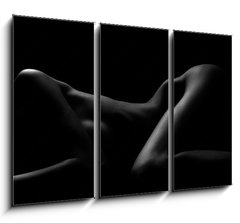 Obraz   Sexy body nude woman. Naked sensual beautiful girl. Artistic black and white photo., 105 x 70 cm