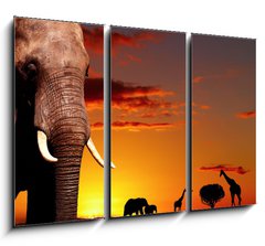Obraz 3D tdln - 105 x 70 cm F_BB14132001 - African nature concept - Africk prodn koncept
