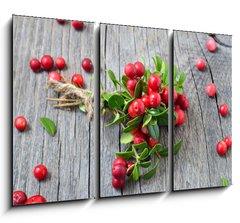 Obraz 3D tdln - 105 x 70 cm F_BB141541258 - Bunch of red cowberry