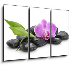 Obraz 3D tdln - 105 x 70 cm F_BB144086994 - zen basalt stones ,orchid and bamboo