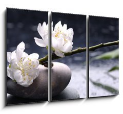 Obraz 3D tdln - 105 x 70 cm F_BB14431112 - Spa still life with black stones and bamboo leafs