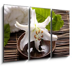 Obraz 3D tdln - 105 x 70 cm F_BB14431591 - Spa composition of white madonna lily