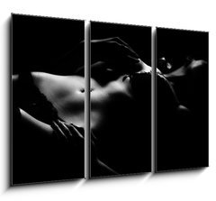 Obraz 3D tdln - 105 x 70 cm F_BB14669589 - lowkey dessous susi 1