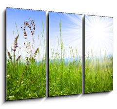 Obraz 3D tdln - 105 x 70 cm F_BB14694795 - Grass