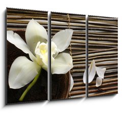 Obraz   bowl of orchid, petal on bamboo mat, 105 x 70 cm