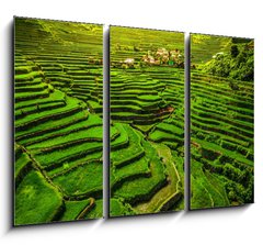 Obraz 3D tdln - 105 x 70 cm F_BB149173754 - Batad Rice Terraces in Northern Luzon, Philippines.