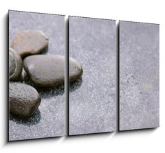 Obraz 3D tdln - 105 x 70 cm F_BB150097450 - Pnk orchids and black stones close up.