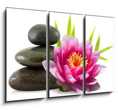 Obraz 3D tdln - 105 x 70 cm F_BB15079554 - Composition zen, pierres, lotus et bambou - Sloen zen, pierres, lotus et bambou