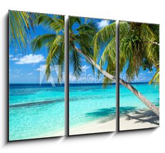 Obraz   coco palms on tropical paradise beach with turquoise blue water and blue sky, 105 x 70 cm