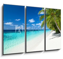 Obraz 3D tdln - 105 x 70 cm F_BB151010448 - coco palms on tropical paradise beach with turquoise blue water and blue sky