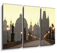 Obraz 3D tdln - 105 x 70 cm F_BB15119043 - prague charles bridge - prask charlesov most