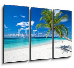 Obraz 3D tdln - 105 x 70 cm F_BB151310725 - coco palm on tropical paradise island dream beach