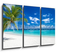 Obraz 3D tdln - 105 x 70 cm F_BB151547263 - coco palm panorama wide format on tropical paradise dream beach