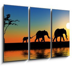 Obraz 3D tdln - 105 x 70 cm F_BB15223089 - Family of elephants. - Rodina slon.