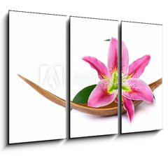 Obraz 3D tdln - 105 x 70 cm F_BB15641215 - Beautiful lily flower - Krsn lilie kvtina