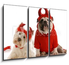 Obraz 3D tdln - 105 x 70 cm F_BB15642685 - two devils - bulldog and west highland white terrier - dva bli