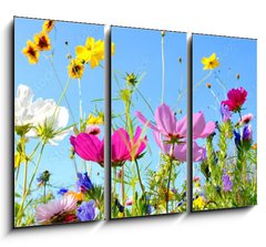 Obraz 3D tdln - 105 x 70 cm F_BB157514845 - Blumenwiese