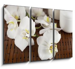 Obraz   Face cream and white orchid on a bamboo mate, 105 x 70 cm