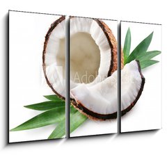 Obraz   coconut on a white background, 105 x 70 cm