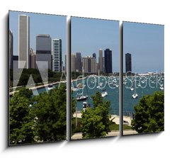 Obraz 3D tdln - 105 x 70 cm F_BB15938614 - Chicago Summer Panorama